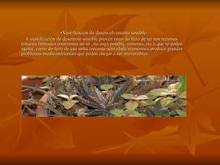 • Xustificación do desenvolvemento sostible: A xustificación do desenrolo sostible provén tanto do feito de ter uns recursos naturais limitados (nutrientes no só , na auga potable, minerais, etc.), que se poden agotar, como do feito de que unha crecente actividade económica produce grandes problemas medioambientais que poden chegar a ser irreversibles. 