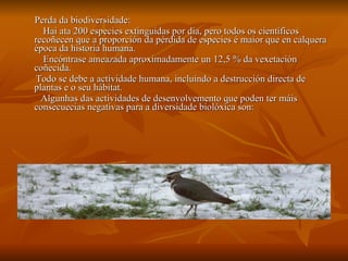 Perda da biodiversidade: Hai ata 200 especies extinguidas por día, pero todos os científicos recoñecen que a proporción da pérdida de especies é maior que en calquera época da historia humana. Encóntrase ameazada aproximadamente un 12,5 % da vexetación coñecida. Todo se debe a actividade humana, incluíndo a destrucción directa de plantas e o seu hábitat.  Algunhas das actividades de desenvolvemento que poden ter máis consecuecias negativas para a diversidade biolóxica son:  