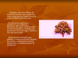 Algunhas das actividades de desenvolvemento que poden ter máis consecuecias negativas para a diversidade biolóxica son:  Os proxectos agrícolas e gandeiros que implican o desmonte da terra, a eliminación de terras húmidas, a inundación para reservorios de rego e tamén o uso dos pesticidas.  Os proxectos forestais que inluian a construcción de camiños de acceso, explotación forestal intensiva,e o establecemento de industrias. 