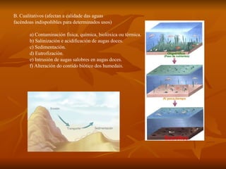 B. Cualitativos (afectan a calidade das aguas  facéndoas indispoñibles para determinados usos) a) Contaminación física, química, biolóxica ou térmica.  b) Salinización e acidificación de augas doces. c) Sedimentación. d) Eutrofización. e) Intrusión de augas salobres en augas doces. f) Alteración do contido biótico dos humedais. 