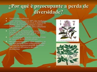 ¿Por qué é preocupante a perda de diversidade? Teñen valor ecolóxico. Valor farmacolóxico (o 40% das medicinas derivan de organismos vivos; a maioría de plantas, pero tamén de fungos e outros organismos); un exemplo son a chinchona e o acederaque. Un 90% dos alimentos que consumimos proveñen de organismos que se obtiveron a partir de especies silvestres. O “ ecoturismo” presenta a principal fonte de ingresos de numerosos países. Son importantes para a labor científica, xa que boa parte do noso coñecemento sobre a evolución biolóxica procede do estudo das especies silvestres e dos seus ecosistemas. 