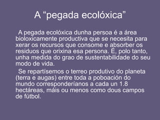 A “pegada ecolóxica” A pegada ecolóxica dunha persoa é a área bioloxicamente productiva que se necesita para xerar os recursos que consome e absorber os residuos que orixina esa persona. É, polo tanto, unha medida do grao de sustentabilidade do seu modo de vida. Se repartísemos o terreo produtivo do planeta (terra e augas) entre toda a poboación do mundo corresponderíanos a cada un 1.8 hectáreas, máis ou menos como dous campos de fútbol. 