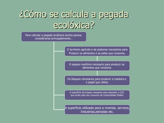 ¿Cómo se calcula a pegada ecolóxica? Para calcular a pegada ecolóxica dunha persoa  considéranse principalemente… O espazo marítimo necesario para producir os  alimentos que consome. O territorio agrícola e de pastoreo necesarios para Producir os alimentos e as peles que consome . Os bloques necesarios para producir a madeira e  o papel que utiliza. A superficie de bosque necesaria para absorber o CO2  que emite polo seu consumo de combustibles fósiles. A superficie utilizada para a vivenda, servizos, Industrias,estradas etc. 
