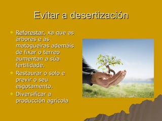 Evitar a desertización Reforestar , xa que as árbores e as matogueiras ademáis de fixar o terreo aumentan a súa fertilidade. Restaurar o solo e previr o seu esgotamento. Diversificar a producción agrícola 