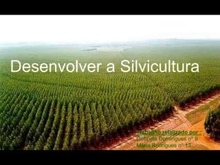 Desenvolver a Silvicultura  Traballho relalizado por : Gabriela Domingues nº 9  Maria Rodrigues nº 13  