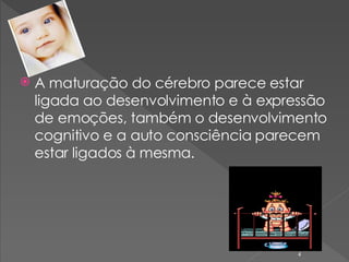 A maturação do cérebro parece estar ligada ao desenvolvimento e à expressão de emoções, também o desenvolvimento cognitivo e a auto consciência parecem estar ligados à mesma. 
