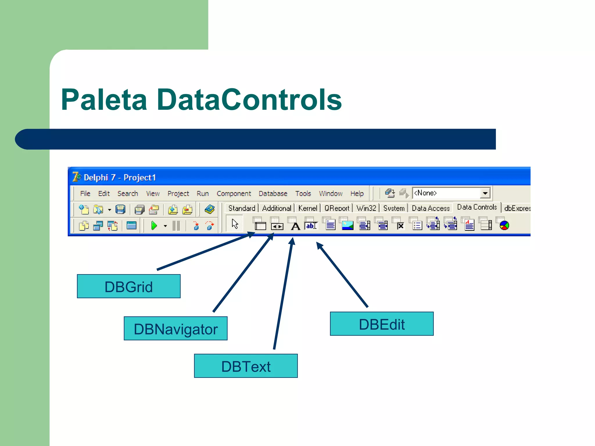 Paleta DataControls DBGrid DBNavigator DBText DBEdit 