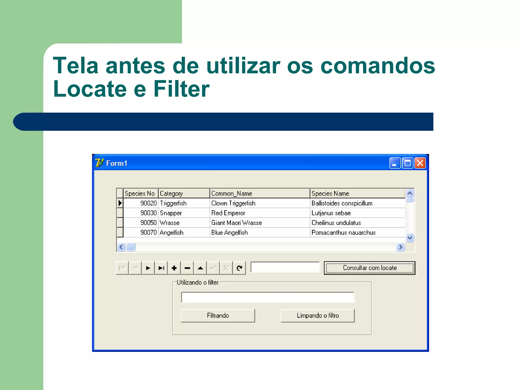 Tela antes de utilizar os comandos Locate e Filter 