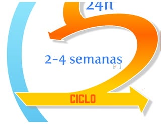 Desenvolvimento agil de_software