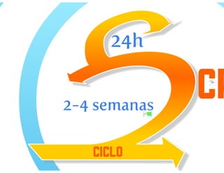 Desenvolvimento agil de_software