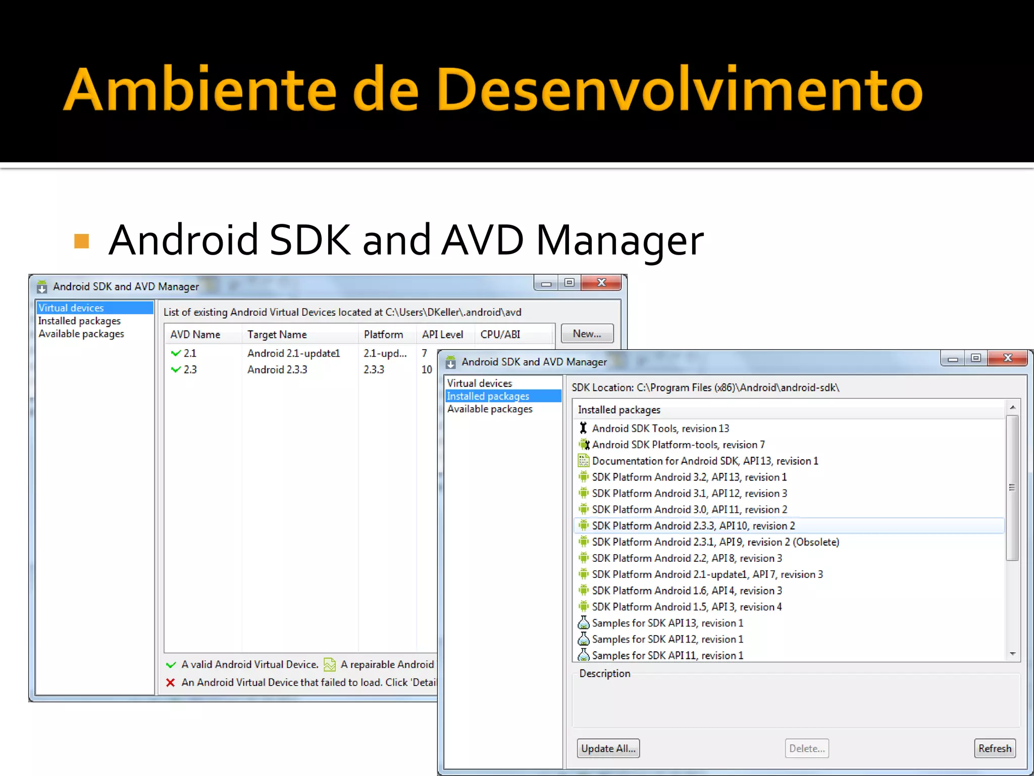    Android SDK and AVD Manager
 