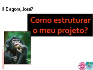 E agora, José? 
Como estruturar 
o meu projeto? 
 