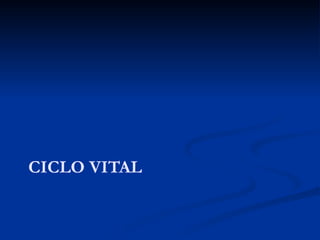 CICLO VITAL
 