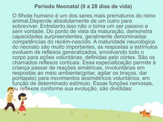 Período Neonatal (0 a 28 dias de vida)
O filhote humano é um dos seres mais prematuros do reino
animal.Depende absolutamente de um outro para
sobreviver. Entretanto,isso não o torna um ser passivo e
sem vontade. Do ponto de vista da maturação, demonstra
capacidades surpreendentes, geralmente denominadas
competências do recém-nascido. A maturidade neurológica
do neonato são muito importantes, as respostas a estímulos
evoluem de reflexos generalizados, envolvendo todo o
corpo para ações voluntárias, definidas pelo córtex. São os
chamados reflexos corticais. Essa especialização permite à
criança passar de reações simétricas, involuntárias em
respostas ao meio ambiente(gritar, agitar os braços, dar
pontapés) para movimentos assimétricos voluntários, em
função de determinado estímulo. Essas funções nervosas,
ou reflexos conforme sua evolução, são divididas:
 