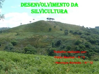 Desenvolvimento da Silvicultura Trabalho realizado por: ,[object Object],- Henrique Almeida – N º 12 