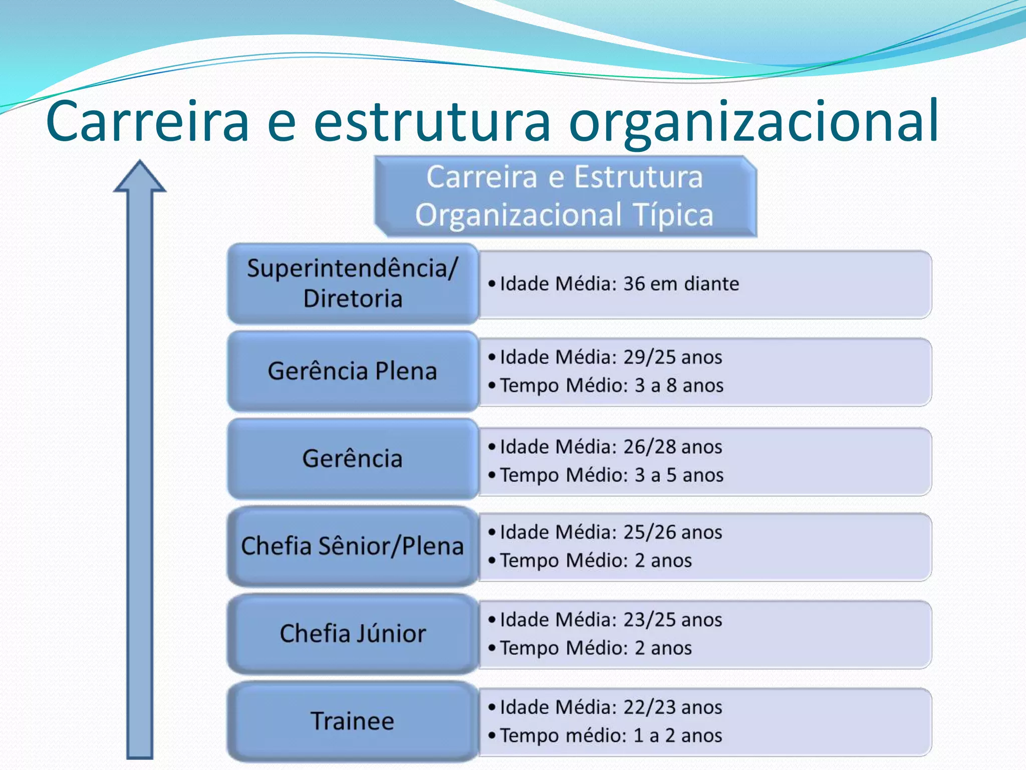 Carreira e estrutura organizacional
 