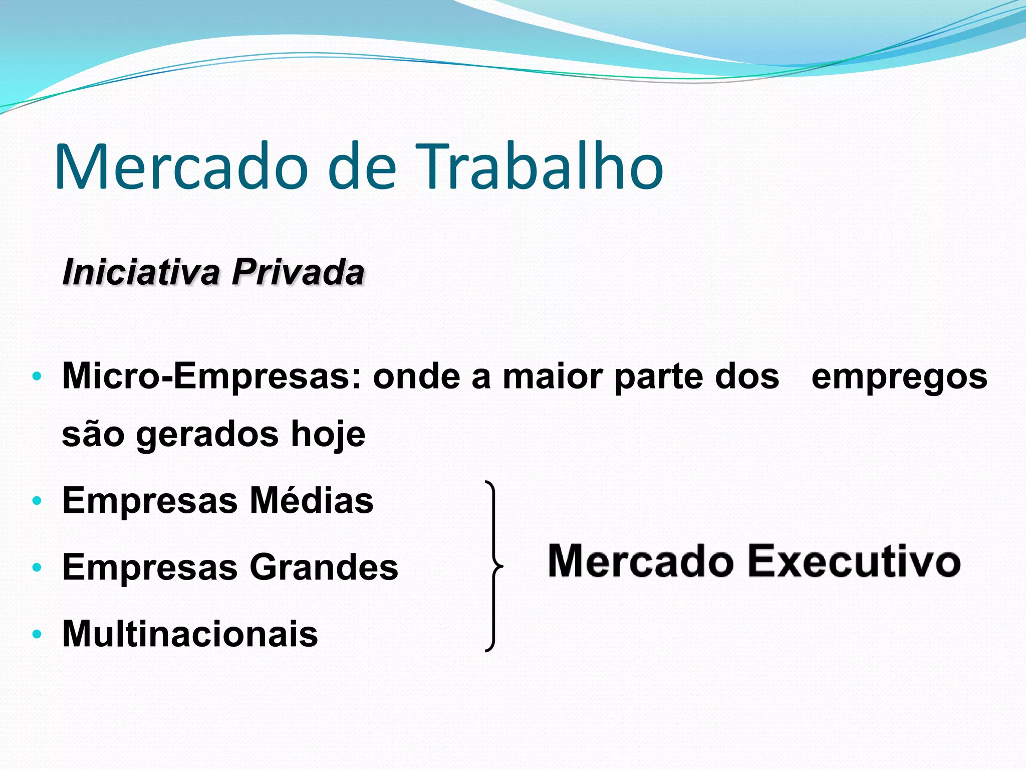 Mercado de Trabalho
 Iniciativa Privada

• Micro-Empresas: onde a maior parte dos empregos
 são gerados hoje
• Empresas Médias
• Empresas Grandes
• Multinacionais
 