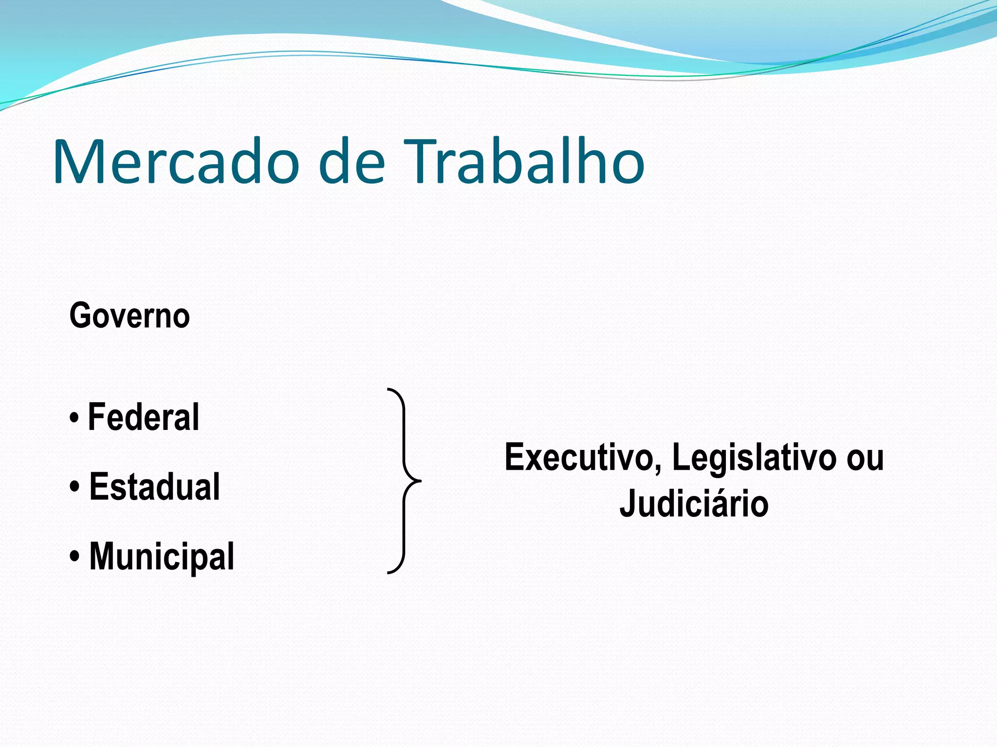 Mercado de Trabalho

Governo

• Federal
              Executivo, Legislativo ou
• Estadual           Judiciário
• Municipal
 