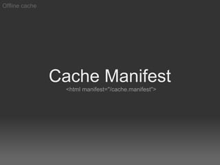 Offline cache




                Cache Manifest
                 <html manifest="/cache.manifest">
 