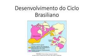 Desenvolvimento do Ciclo
Brasiliano
 