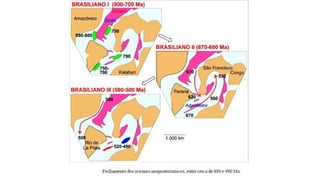 Desenvolvimento do ciclo brasiliano