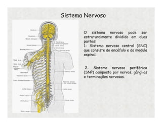 O sistema nervoso pode ser
estruturalmente dividido em duas
partes:
1- Sistema nervoso central (SNC)
que consiste do encéfalo e da medula
espinal;
2- Sistema nervoso periférico
(SNP) composto por nervos, gânglios
e terminações nervosas.
Sistema Nervoso
 