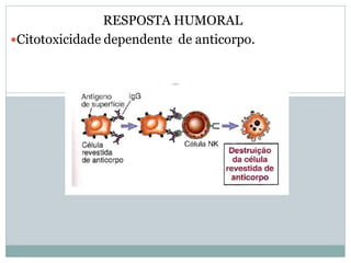 RESPOSTA HUMORAL
Citotoxicidade dependente de anticorpo.
 