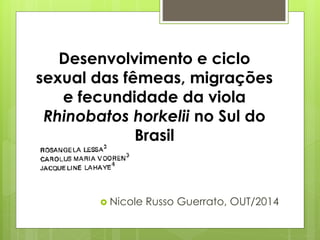 Desenvolvimento e ciclo 
sexual das fêmeas, migrações 
e fecundidade da viola 
Rhinobatos horkelii no Sul do 
Brasil 
 Nicole Russo Guerrato, OUT/2014 
 