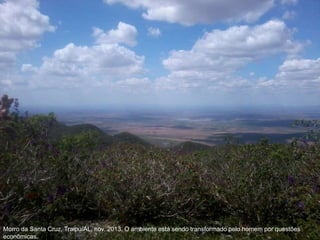 Morro da Santa Cruz, Traipu/AL, nov. 2013. O ambiente está sendo transformado pelo homem por questões
econômicas.
 