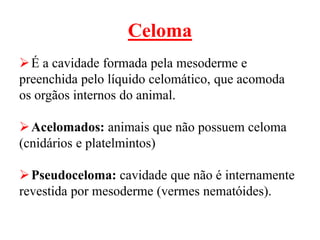 Celoma
É a cavidade formada pela mesoderme e
preenchida pelo líquido celomático, que acomoda
os orgãos internos do animal.
Acelomados: animais que não possuem celoma
(cnidários e platelmintos)
Pseudoceloma: cavidade que não é internamente
revestida por mesoderme (vermes nematóides).
 