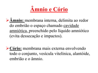 Âmnio e Cório
Âmnio: membrana interna, delimita ao redor
do embrião o espaço chamado cavidade
amniótica, preenchido pelo líquido amniótico
(evita dessecação e impactos).
Cório: membrana mais externa envolvendo
todo o conjunto, vesícula vitelínica, alantóide,
embrião e o âmnio.
 