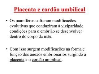 Placenta e cordão umbilical
• Os mamíferos sofreram modificações
evolutivas que conduziram à viviparidade
condições para o embrião se desenvolver
dentro do corpo da mãe.
• Com isso surgem modificações na forma e
função dos anexos embrionários surgindo a
placenta e o cordão umbilical.
 