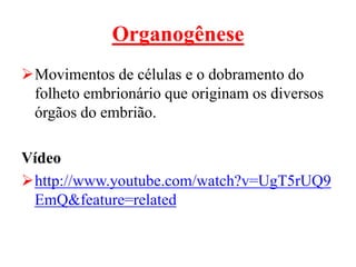 Organogênese
Movimentos de células e o dobramento do
 folheto embrionário que originam os diversos
 órgãos do embrião.

Vídeo
http://www.youtube.com/watch?v=UgT5rUQ9
 EmQ&feature=related
 