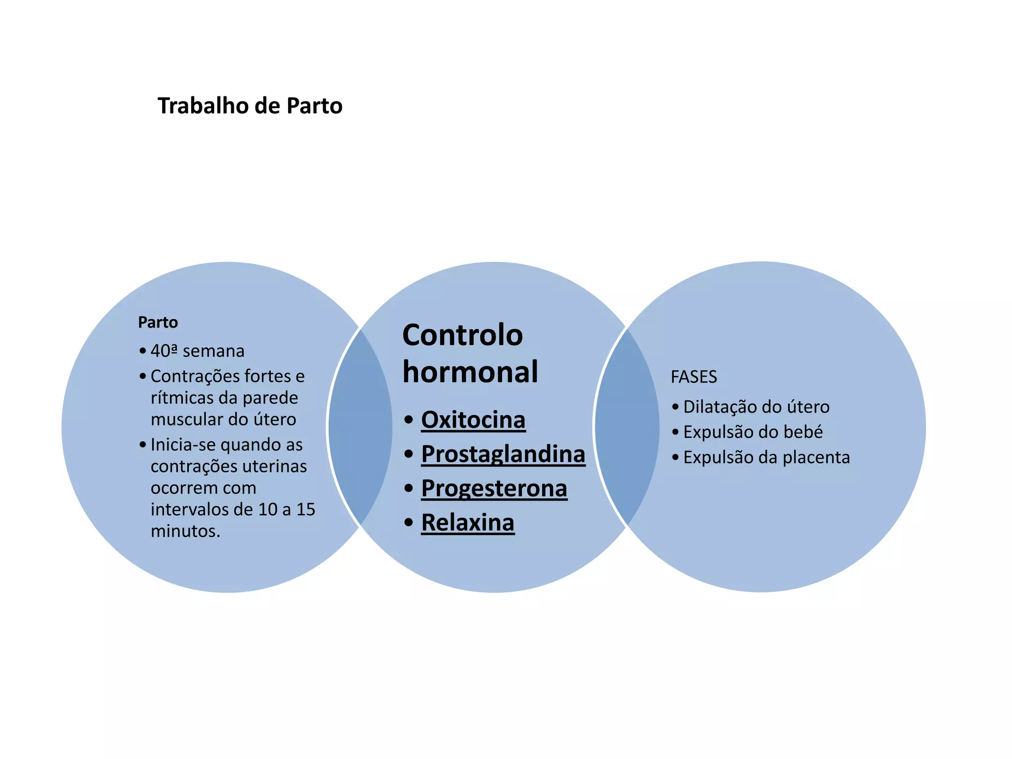 Trabalho de Parto

Parto

• 40ª semana
• Contrações fortes e
rítmicas da parede
muscular do útero
• Inicia-se quando as
contrações uterinas
ocorrem com
intervalos de 10 a 15
minutos.

Controlo
hormonal
• Oxitocina
• Prostaglandina
• Progesterona
• Relaxina

FASES
• Dilatação do útero
• Expulsão do bebé
• Expulsão da placenta

 