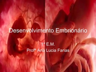 Desenvolvimento Embrionário 1º E.M. Profª Ana Lucia Farias 