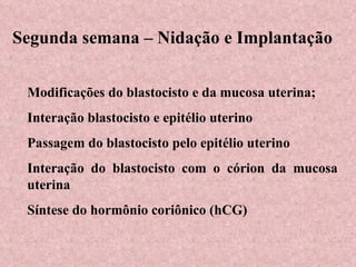 Segunda semana – Nidação e Implantação Modificações do blastocisto e da mucosa uterina; Interação blastocisto e epitélio uterino Passagem do blastocisto pelo epitélio uterino Interação do blastocisto com o córion da mucosa uterina Síntese do hormônio coriônico (hCG) 