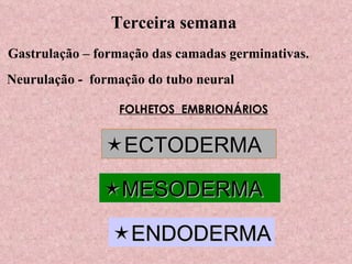 Terceira semana  Gastrulação – formação das camadas germinativas. Neurulação -  formação do tubo neural FOLHETOS  EMBRIONÁRIOS  ENDODERMA  ECTODERMA  MESODERMA 