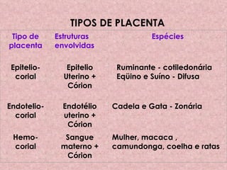 TIPOS DE PLACENTA   Tipo de placenta Estruturas envolvidas Espécies Epitelio-corial Epitelio Uterino + Córion Ruminante - cotiledonária Eqüino e Suíno - Difusa Endotelio-corial Endotélio uterino + Córion Cadela e Gata - Zonária Hemo-corial Sangue materno + Córion Mulher, macaca , camundonga, coelha e ratas 