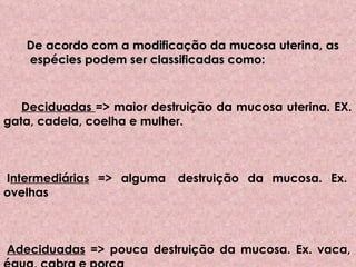 De acordo com a modificação da mucosa uterina, as  espécies podem ser classificadas como:            Deciduadas  => maior destruição da mucosa uterina. EX. gata, cadela, coelha e mulher. ·  I ntermediárias  => alguma  destruição da mucosa. Ex. ovelhas ·   Adeciduadas  => pouca destruição da mucosa. Ex. vaca, égua, cabra e porca   
