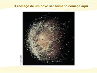 O começo de um novo ser humano começa aqui…
 