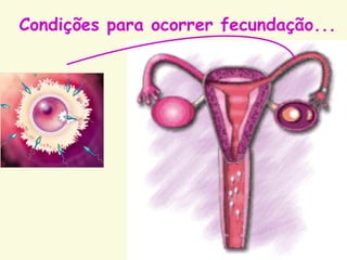 Condições para ocorrer fecundação...
 