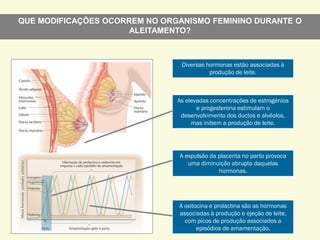QUE MODIFICAÇÕES OCORREM NO ORGANISMO FEMININO DURANTE O
ALEITAMENTO?
As elevadas concentrações de estrogénios
e progesterona estimulam o
desenvolvimento dos ductos e alvéolos,
mas inibem a produção de leite.
Diversas hormonas estão associadas à
produção de leite.
A oxitocina e prolactina são as hormonas
associadas à produção e ejeção de leite,
com picos de produção associados a
episódios de amamentação.
A expulsão da placenta no parto provoca
uma diminuição abrupta daquelas
hormonas.
 