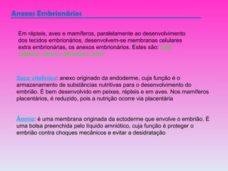 Anexos Embrionários Em répteis, aves e mamíferos, paralelamente ao desenvolvimento dos tecidos embrionários, desenvolvem-se membranas celulares extra embrionárias, os anexos embrionários. Estes são:  saco vitelínico, âmnio, alantóide e cório. Saco vitelínico : anexo originado da endoderme, cuja função é o armazenamento de substâncias nutritivas para o desenvolvimento do embrião. É bem desenvolvido em peixes, répteis e em aves. Nos mamíferos placentários, é reduzido, pois a nutrição ocorre via placentária Âmnio : é uma membrana originada da ectoderme que envolve o embrião. É uma bolsa preenchida pelo líquido amniótico, cuja função é proteger o embrião contra choques mecânicos e evitar a desidratação 