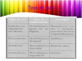 Tipos de  ovos 