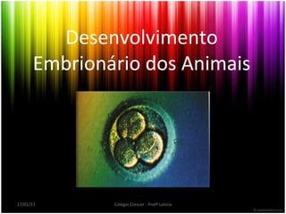 Desenvolvimento Embrionário dos Animais 17/01/11 Colégio Crescer - Profª Letícia 