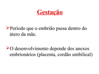 Gestação

Período que o embrião passa dentro do
 útero da mãe.

O desenvolvimento depende dos anexos
 embrionários (placenta, cordão umbilical)
 