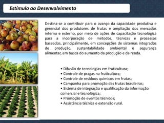  dívida pública elevadaAbrangência dos projetosDimensão  SocialPromover a inclusão social de comunidades e localidades do município.Dimensão EconômicaAssegurar o crescimento de oportunidades de desenvolvimento econômico, e também o incremento da receitas pública. Dimensão CulturalDesenvolver programas de oferta de oportunidades de educação, artes, folclore, esporte e geração de e