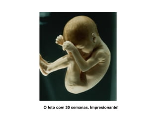 O feto com 30 semanas. Impresionante! 