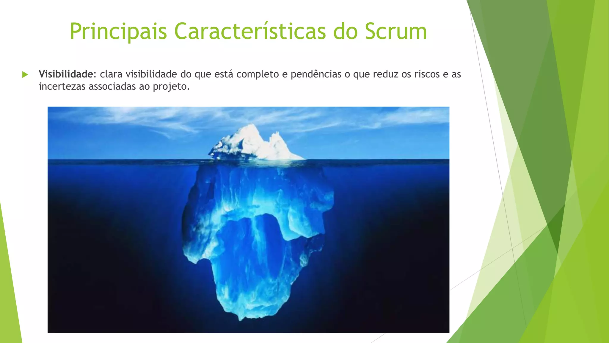 Principais Características do Scrum
 Visibilidade: clara visibilidade do que está completo e pendências o que reduz os riscos e as
incertezas associadas ao projeto.
 