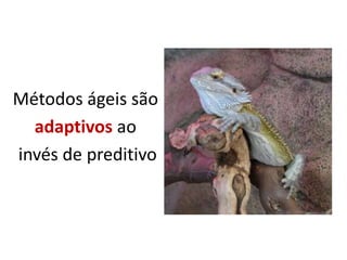 Métodos ágeis são
  adaptivos ao
invés de preditivo
 